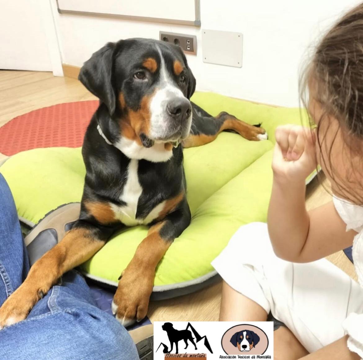 Terapia y asistencia profesional